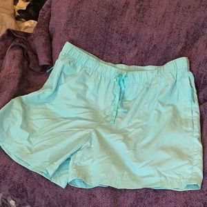 NWT Mint Shorts